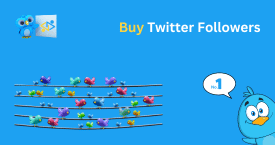 Buy Twitter Followers