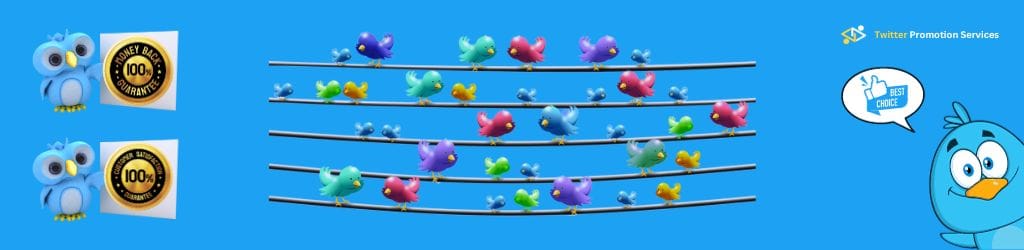 Twitter Promotion Services